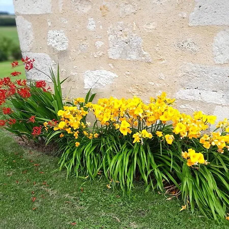 Maison Callonguet Bed & Breakfast *